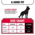 KONG® Handle Dog Collar, Chew Resistant, Durable, Multiple Sizes & Colors image thumbnail 5