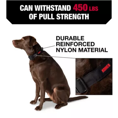 Product KONG® Handle Dog Collar