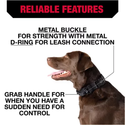 Product KONG® Handle Dog Collar