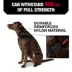 KONG® Handle, Chew Resistant, Dog Collar image thumbnail 2