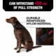 Product KONG® Handle Dog Collar