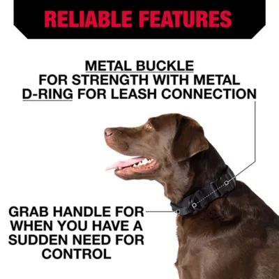 Product KONG® Handle Dog Collar