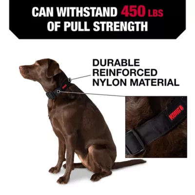Product KONG® Handle Dog Collar