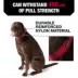 KONG® Handle Dog Collar image thumbnail 2