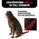Product KONG® Handle Dog Collar
