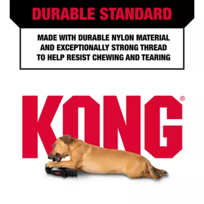 Product KONG® Handle Dog Collar
