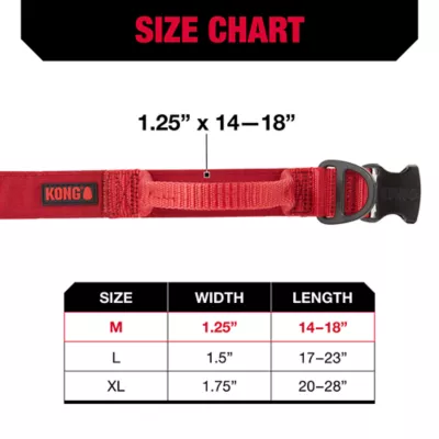 Product KONG® Handle Dog Collar