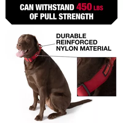 Product KONG® Handle Dog Collar