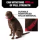 Product KONG® Handle Dog Collar
