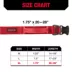 KONG® Handle Dog Collar, Chew Resistant, Durable, Multiple Sizes & Colors image thumbnail 5