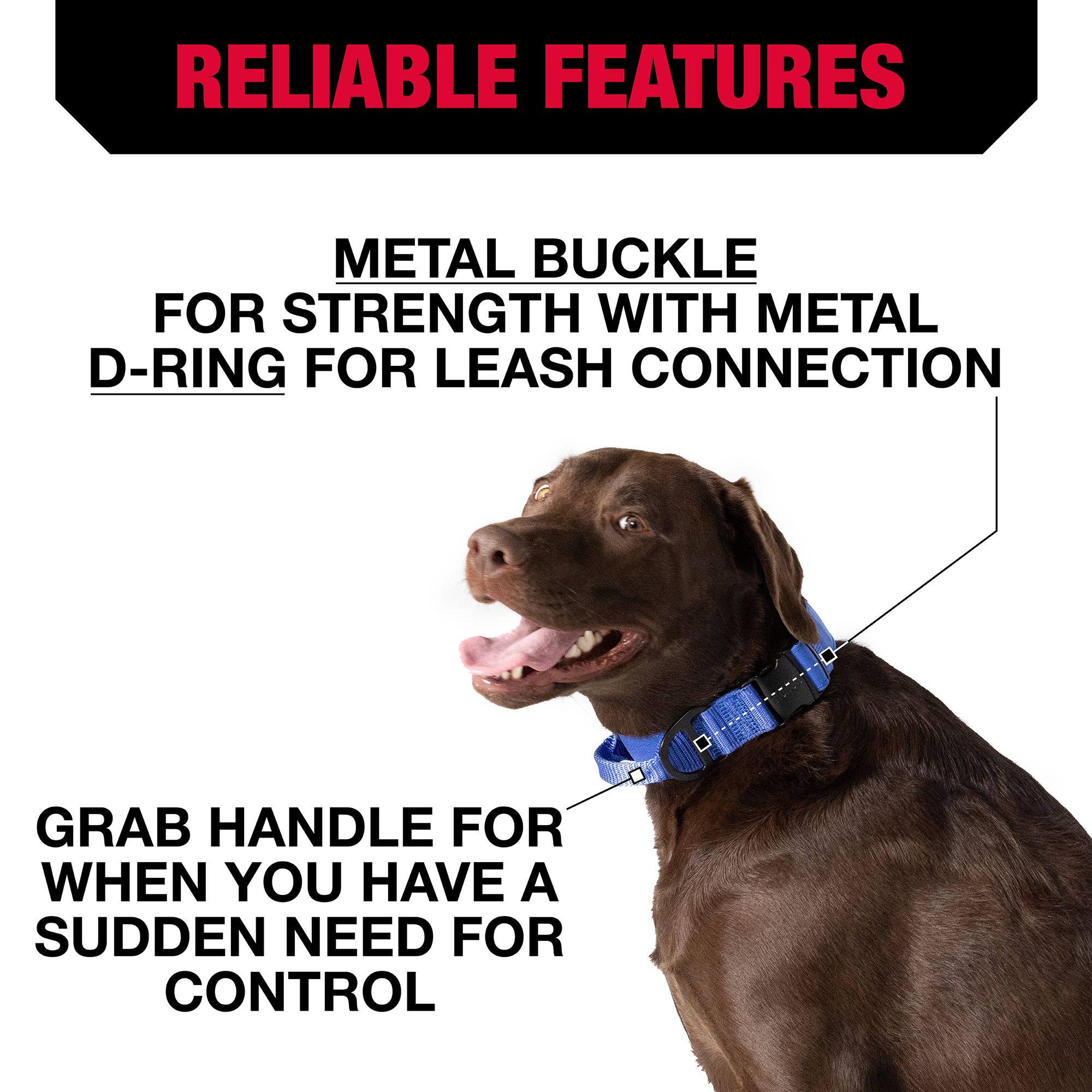 KONG Handle Dog Collar