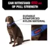 KONG® Handle Dog Collar, Chew Resistant, Durable, Multiple Sizes & Colors image thumbnail 2