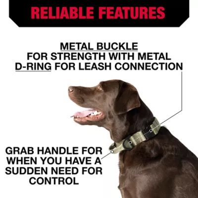 Product KONG® Handle Dog Collar
