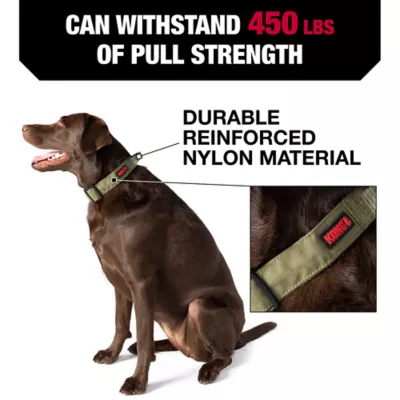 Product KONG® Handle Dog Collar