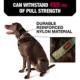 Product KONG® Handle Dog Collar
