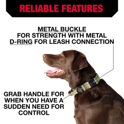 Product KONG® Handle Dog Collar