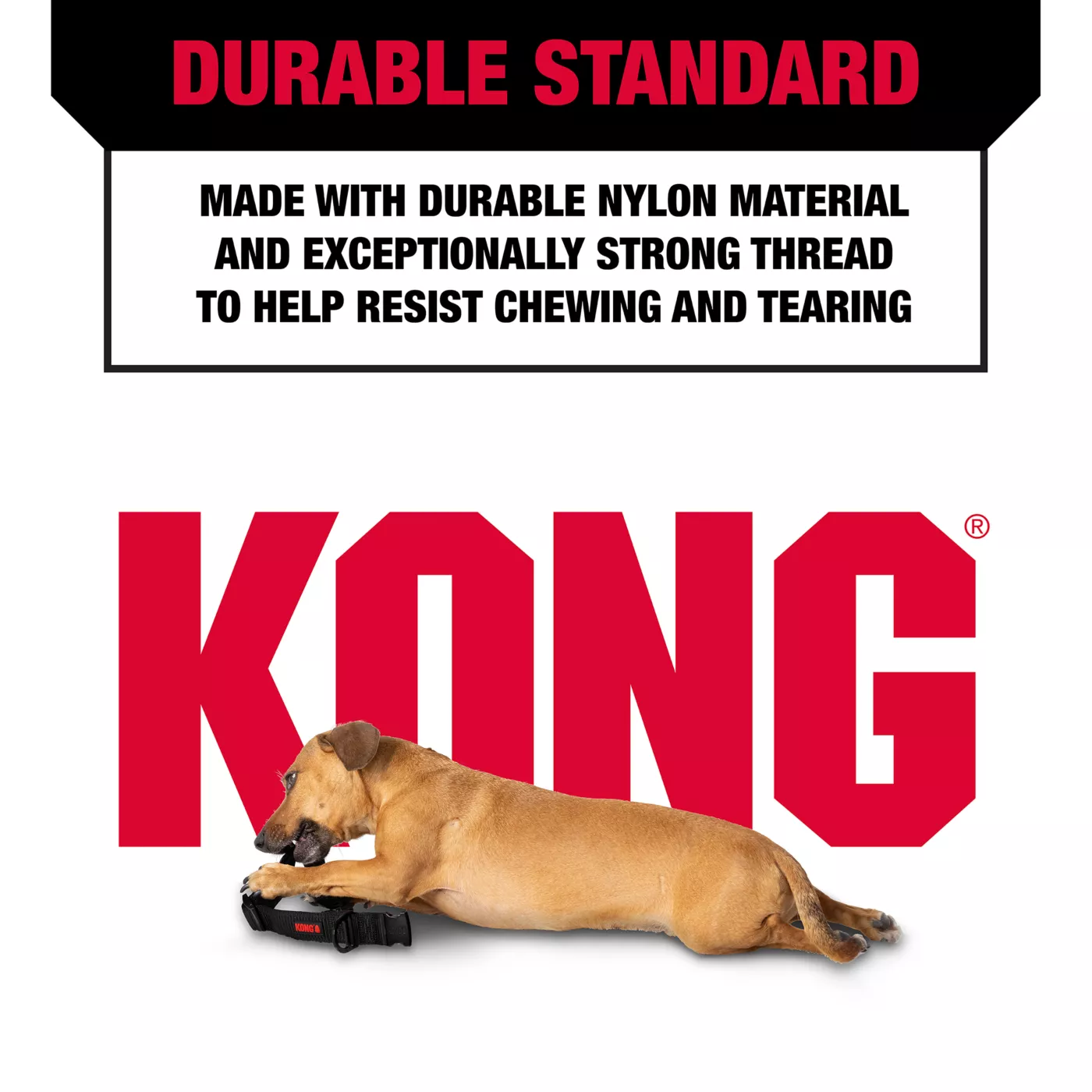 KONG Handle Dog Collar