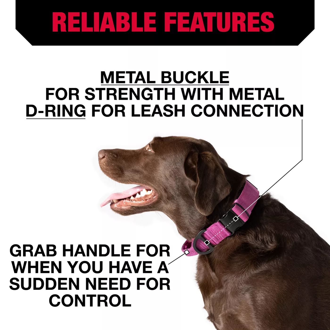 KONG Handle Dog Collar