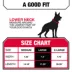 KONG® Handle Dog Collar, Chew Resistant, Durable, Multiple Sizes & Colors image thumbnail 5