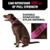 KONG® Handle Dog Collar, Chew Resistant, Durable, Multiple Sizes & Colors image thumbnail 2
