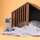 Product Instachew Enkel Pet House