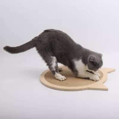 Instachew Cat Attack Scratch Pad