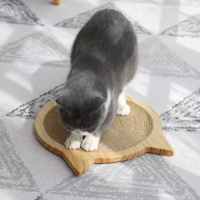 Cat scratch pad petsmart best sale