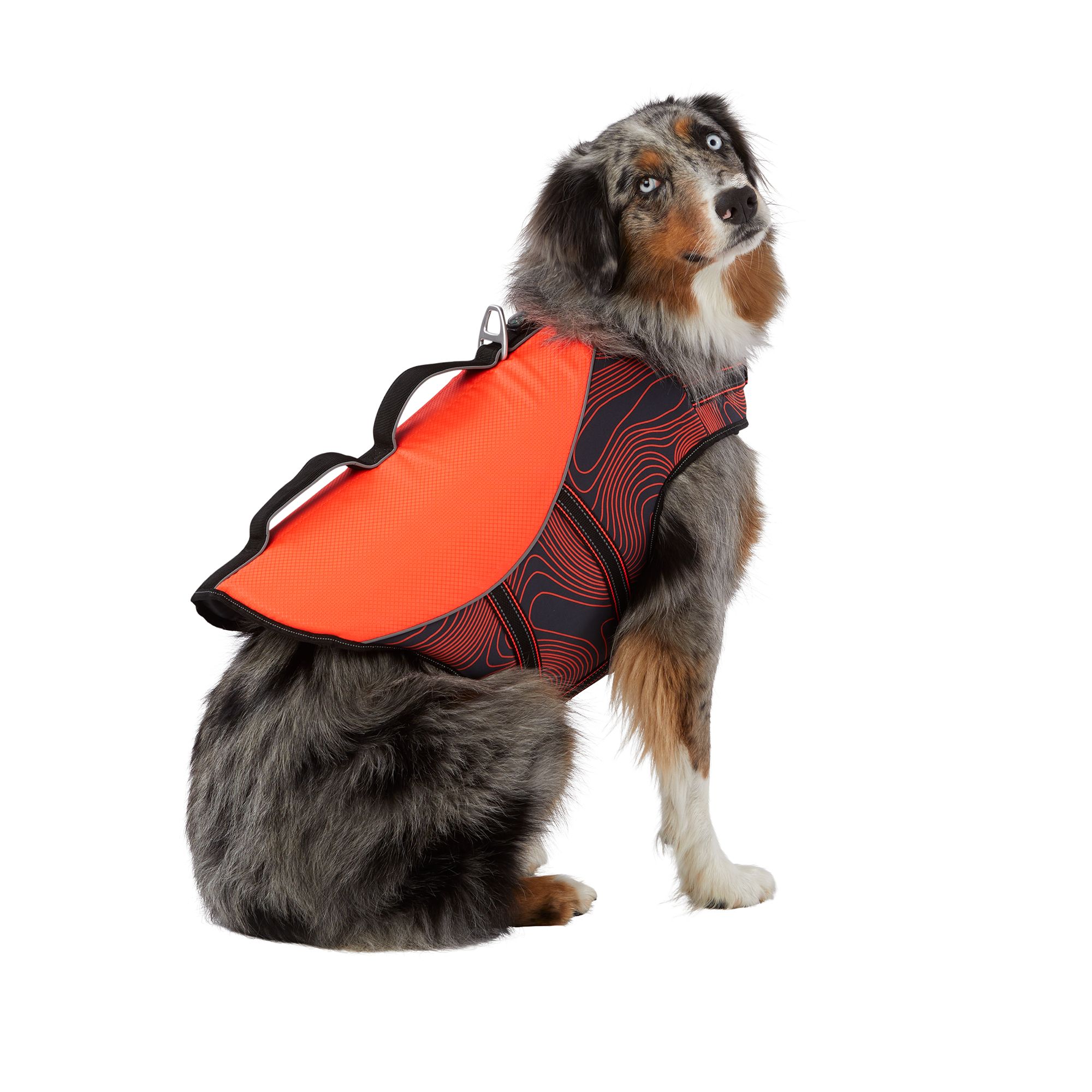 Dog life sales vest petsmart