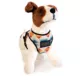Product Pendleton Falcon Cove Dog Harness