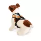 Product Pendleton Falcon Cove Dog Harness