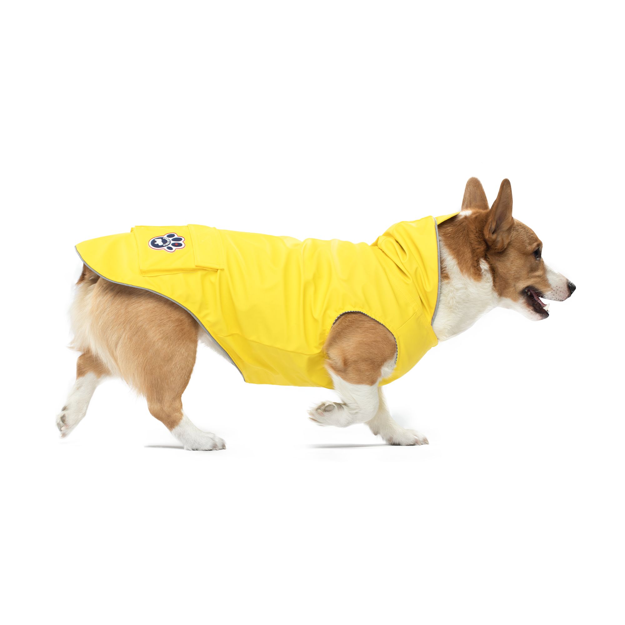 Dog rain poncho petsmart sale