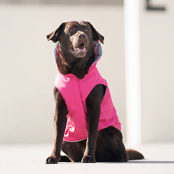 Pink, 20 Torrential Tracker Dog Raincoat Waterproof Dog Jacket Canada Pooch Dog Rain Jacket 