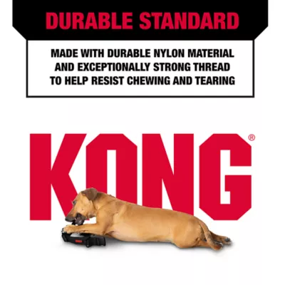 KONG® Neoprene Handle Rope Dog Leash: 4-ft long - Image 4