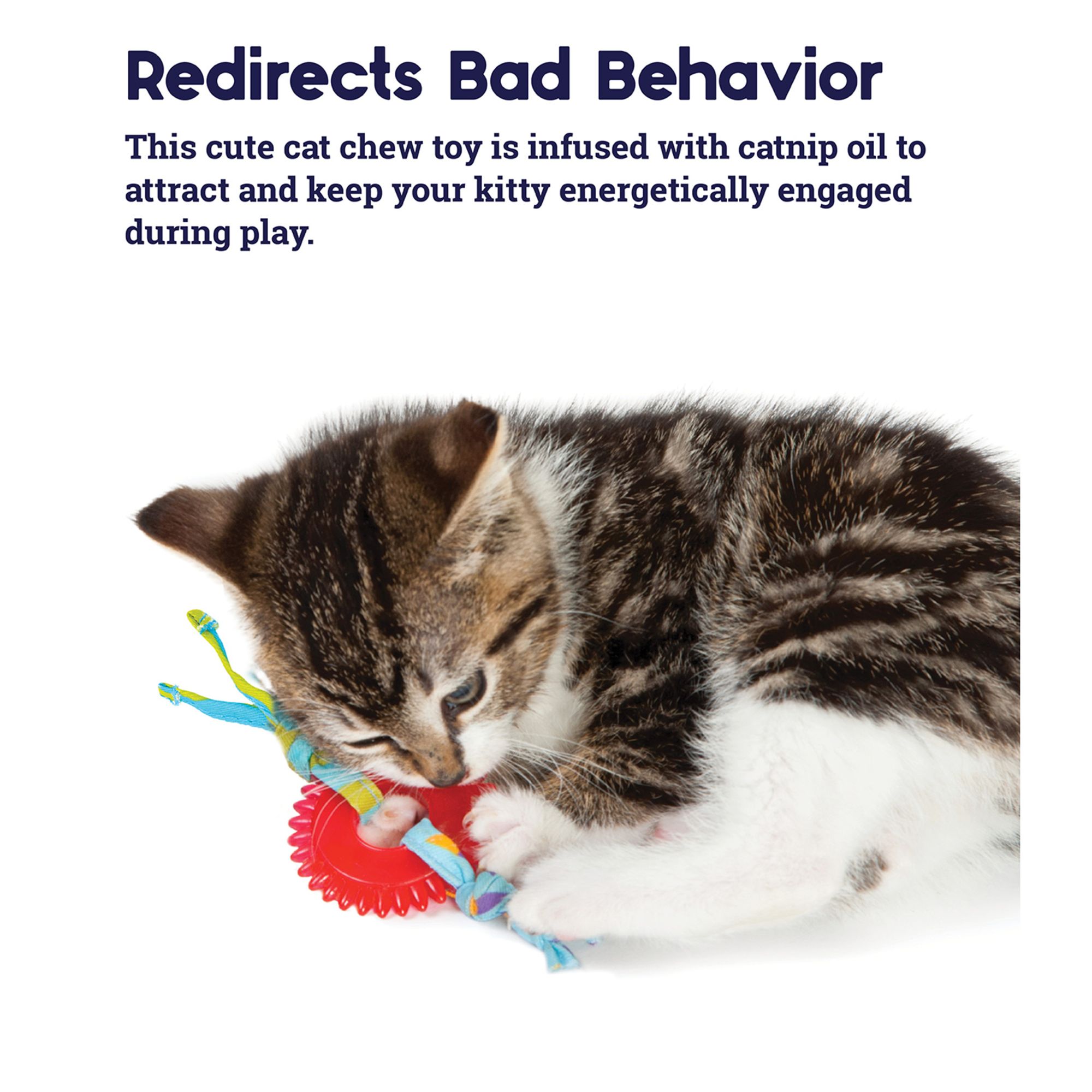 Catstages Dental Kitty Chew Wheel Cat Toy - thumbnail 4