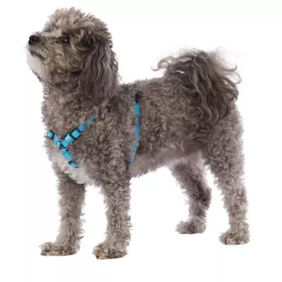 Product Top Paw® Gunmetal Adjustable Dog Harness