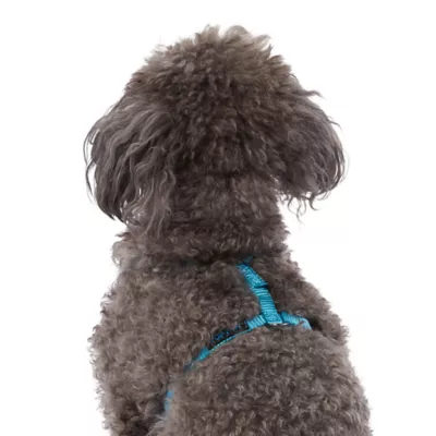 Product Top Paw® Gunmetal Adjustable Dog Harness