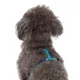 Product Top Paw® Gunmetal Adjustable Dog Harness