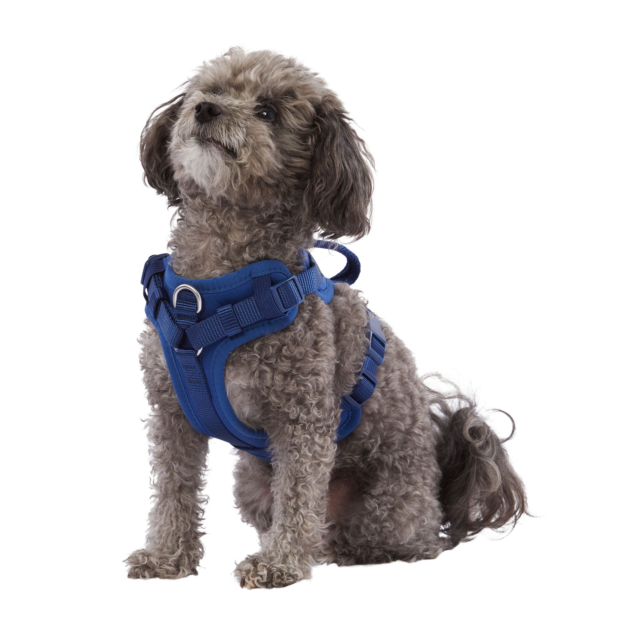 Fresh Pawz Navy Atlanta Braves Adjustable Mesh Pet Harness