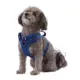 Product Top Paw® Neoprene Comfort Dog Harness