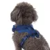 Top Paw® Neoprene Dog Harness, Adjustable, Durable, Comfortable, Multiple Sizes & Colors image thumbnail 2