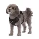 Product Top Paw® Neoprene Comfort Dog Harness