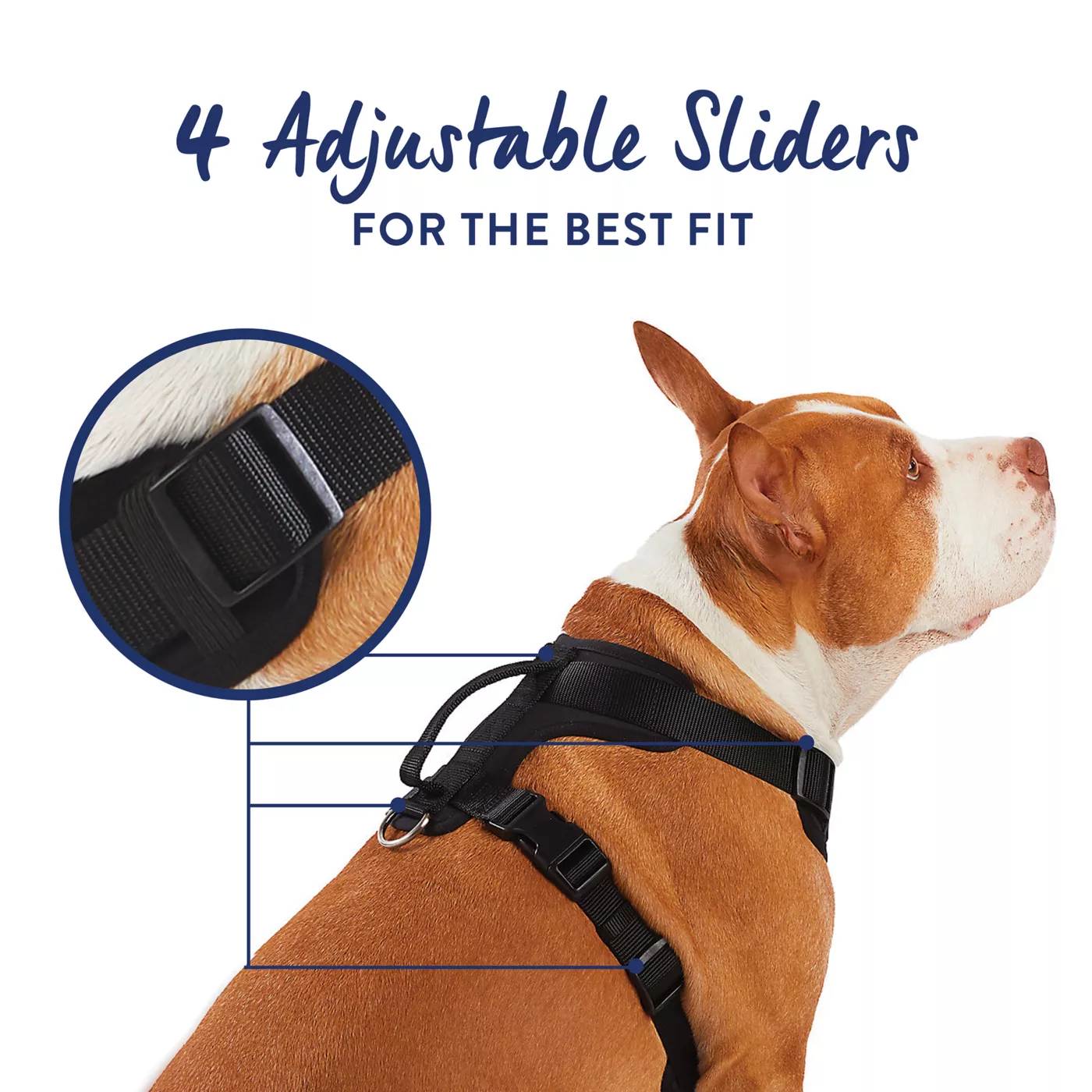 Leather dog harness petsmart best sale