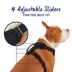 Top Paw® Neoprene Dog Harness, Adjustable, Durable, Comfortable, Multiple Sizes & Colors image thumbnail 3