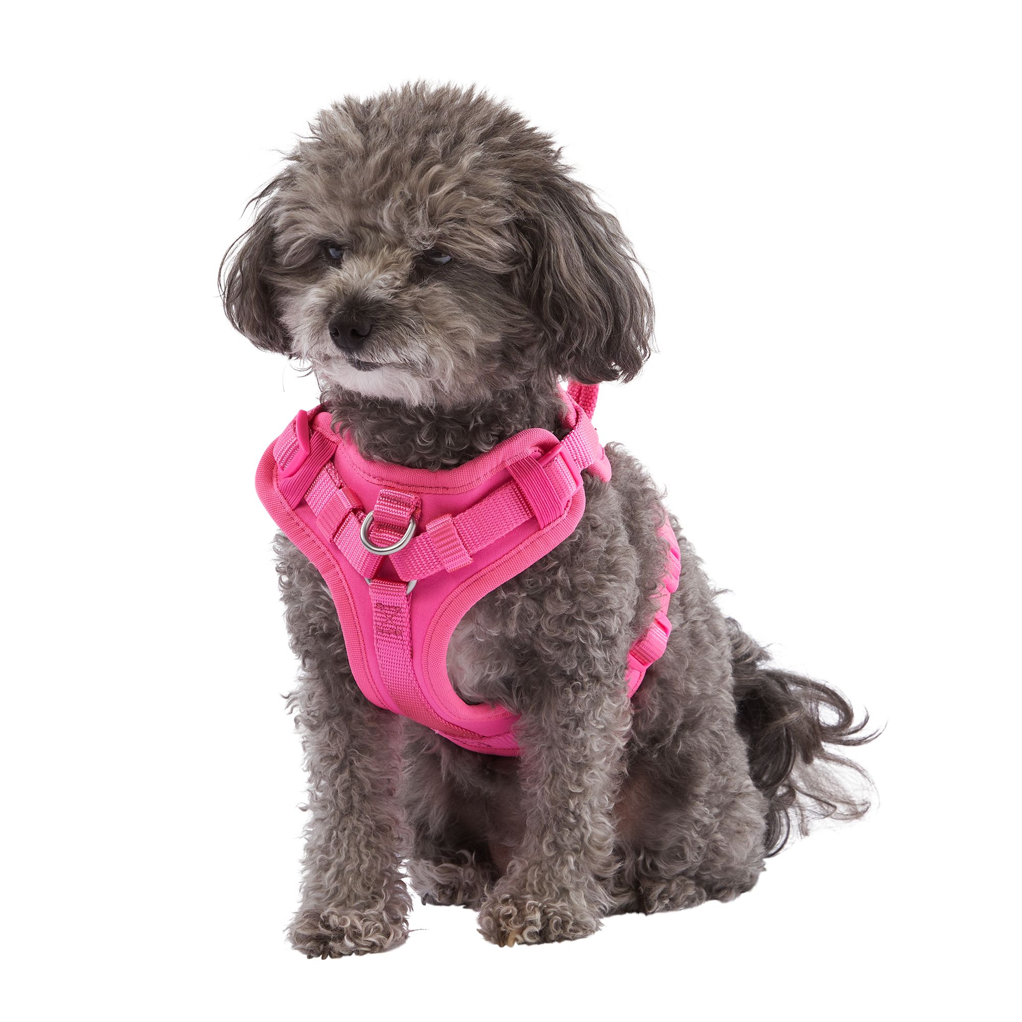 Neoprene dog outlet harness