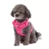 Top Paw® Neoprene Dog Harness, Adjustable, Durable, Comfortable, Multiple Sizes & Colors image thumbnail 1