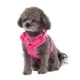 Product Top Paw® Neoprene Comfort Dog Harness