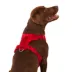 Top Paw® Neoprene Dog Harness, Adjustable, Durable, Comfortable, Multiple Sizes & Colors image thumbnail 2