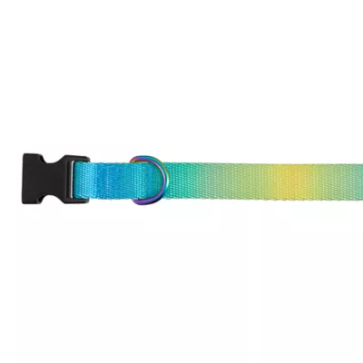 Product Top Paw® Yellow & Blue Ombre Polyester Dog Collar