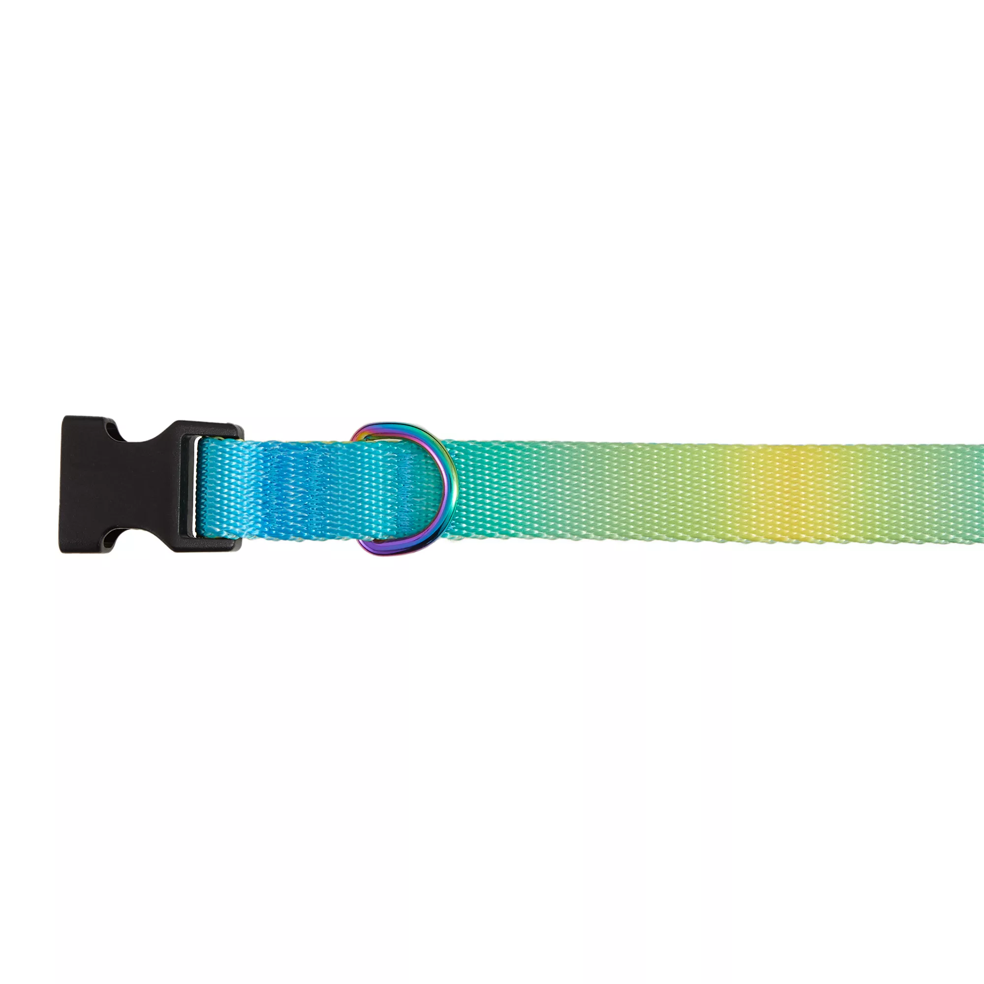 Top Paw® Yellow & Blue Ombre Polyester Dog Collar