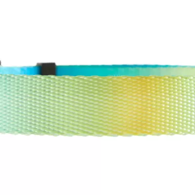 Product Top Paw® Yellow & Blue Ombre Polyester Dog Collar